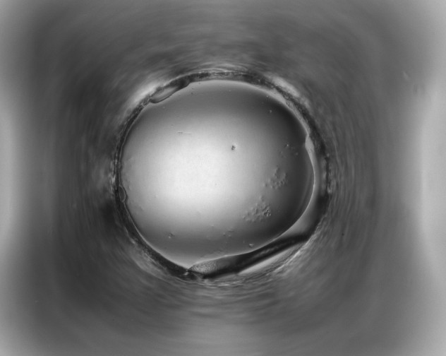 X0000087061355200704181249