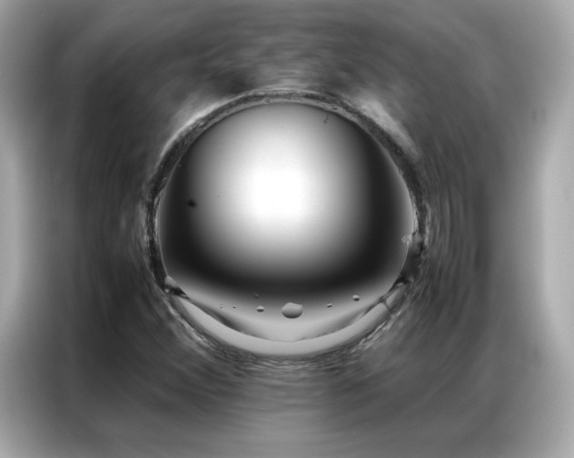 X0000087061356200704181249