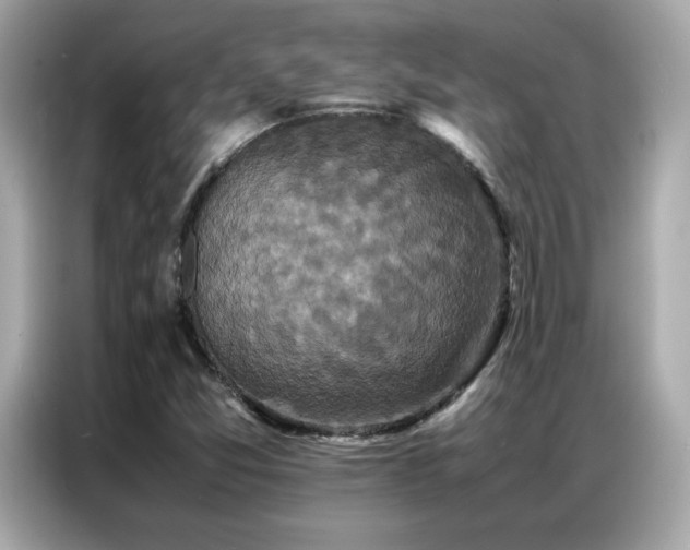 X0000087061357200704181249