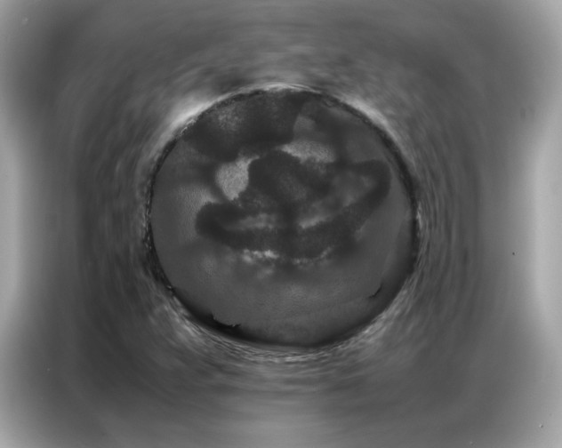 X0000087061359200704181249