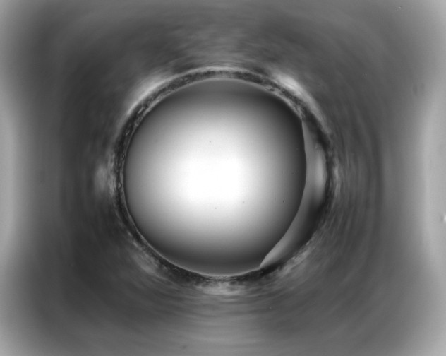 X0000087061360200704181249