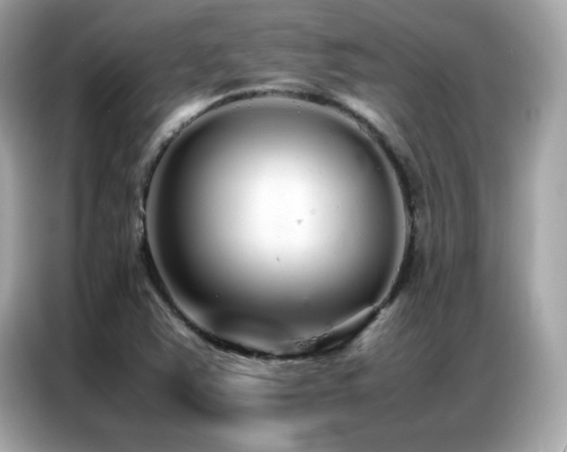 X0000087061363200704181249