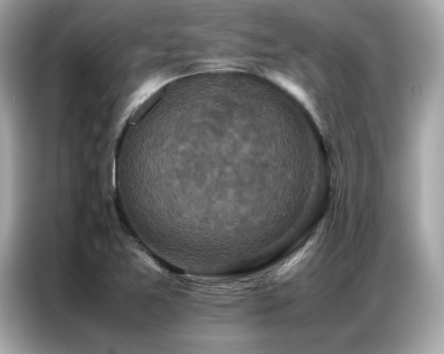 X0000087061365200704181249