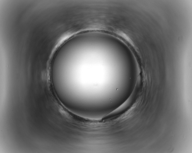 X0000087061366200704181249