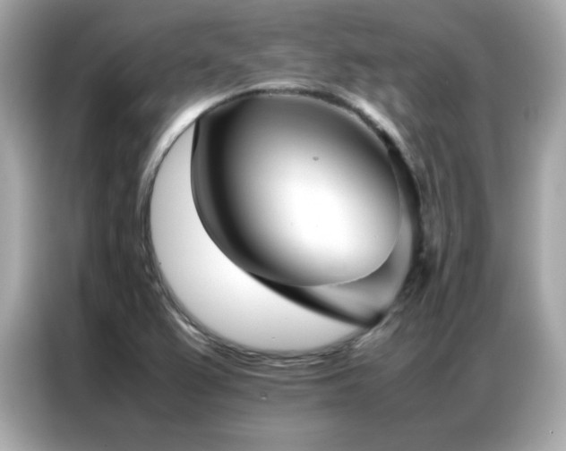 X0000087061367200704181249