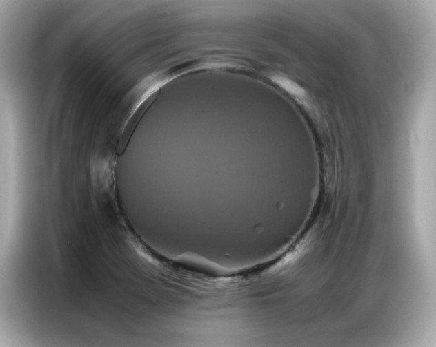 X0000087061369200704181249