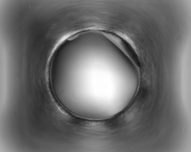 X0000087061375200704181249