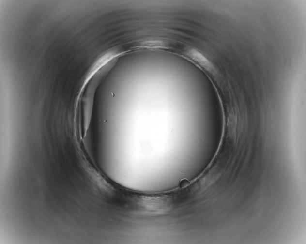 X0000087061378200704181249