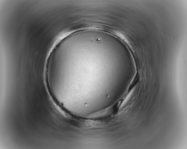 X0000087061379200704181249
