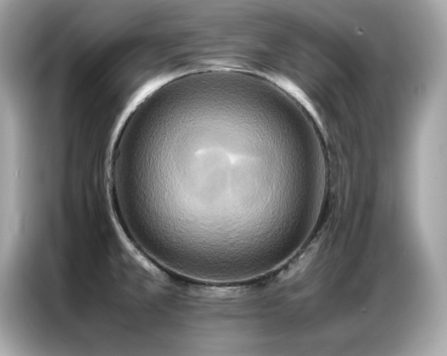 X0000087061381200704181249