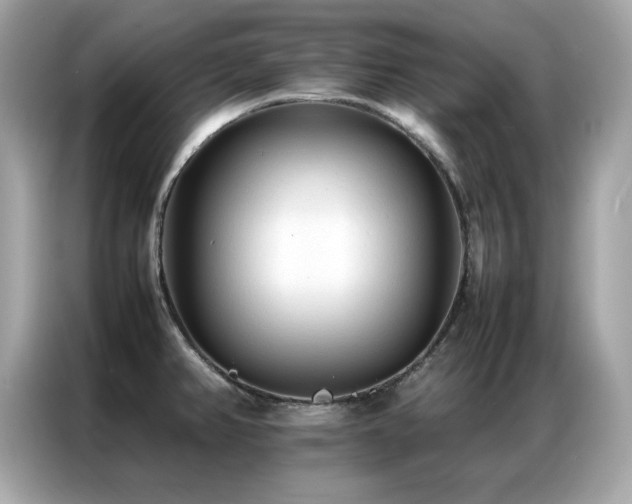 X0000087061382200704181249