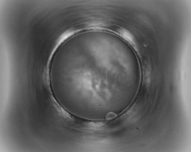 X0000087061384200704181249