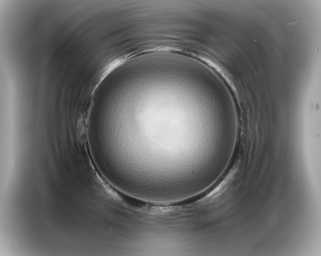 X0000087061385200704181249