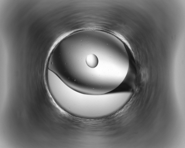 X0000087061387200704181249