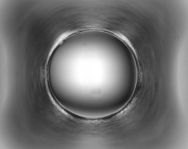 X0000087061389200704181249