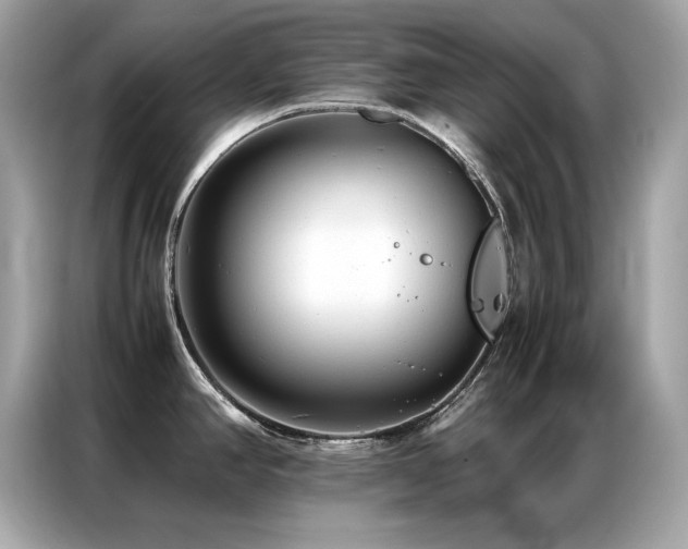 X0000087061390200704181249