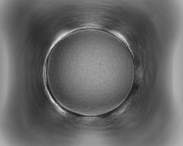 X0000087061391200704181249