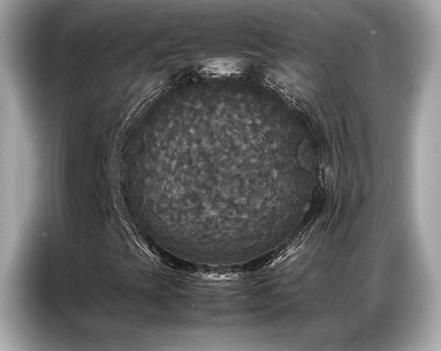 X0000087061393200704181248