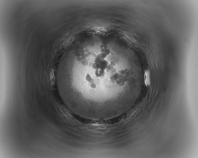 X0000087061395200704181248