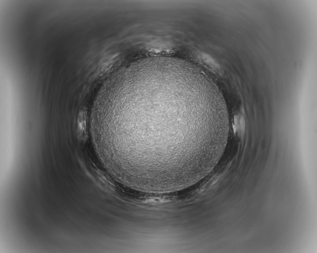 X0000087061396200704181248