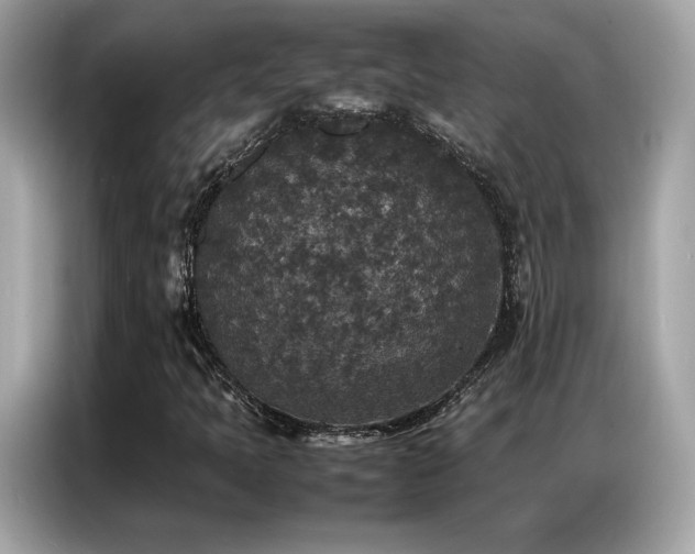 X0000087061397200704181248