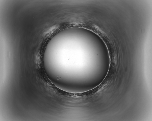 X0000087061398200704181248
