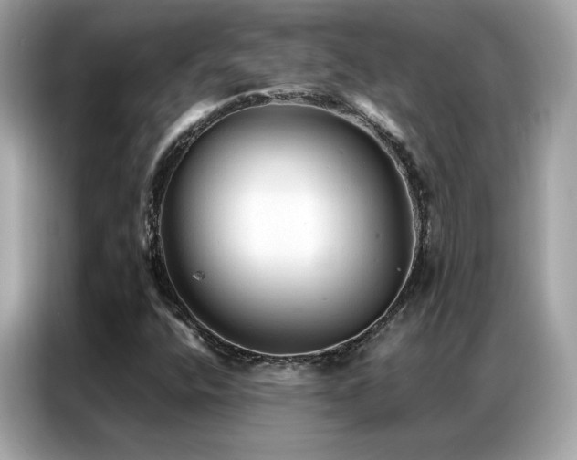 X0000087061400200704181248
