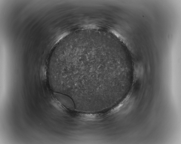 X0000087061401200704181248