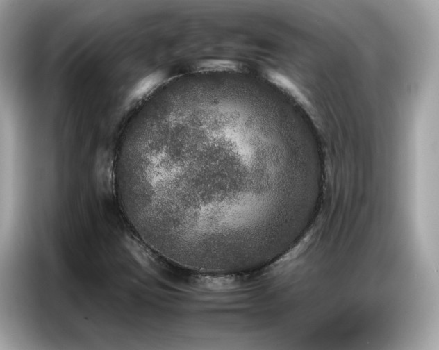 X0000087061403200704181248