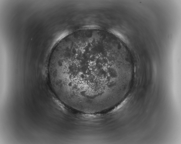X0000087061405200704181248