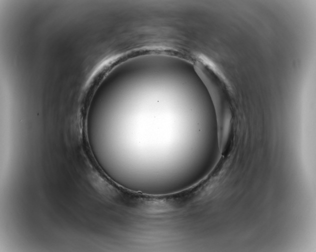 X0000087061408200704181248