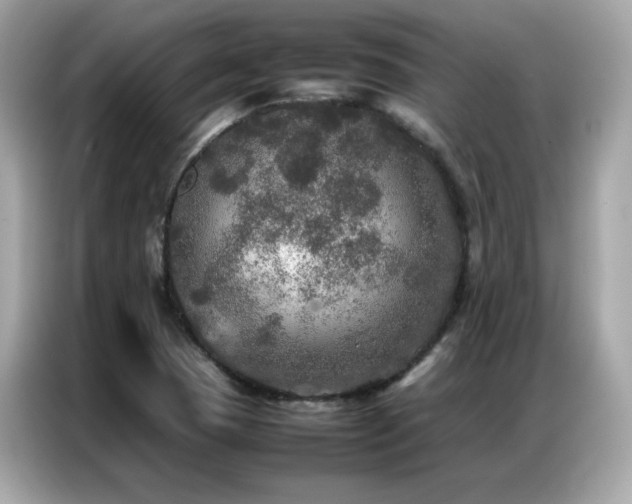 X0000087061409200704181248