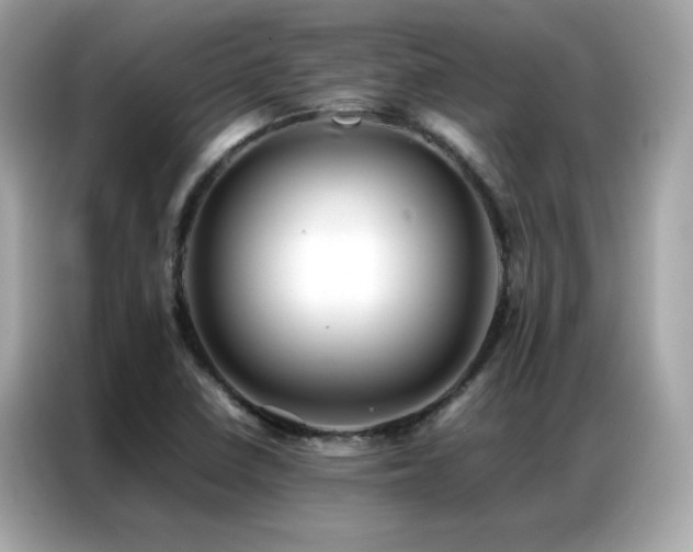 X0000087061410200704181248