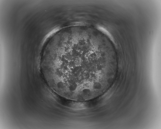 X0000087061411200704181248
