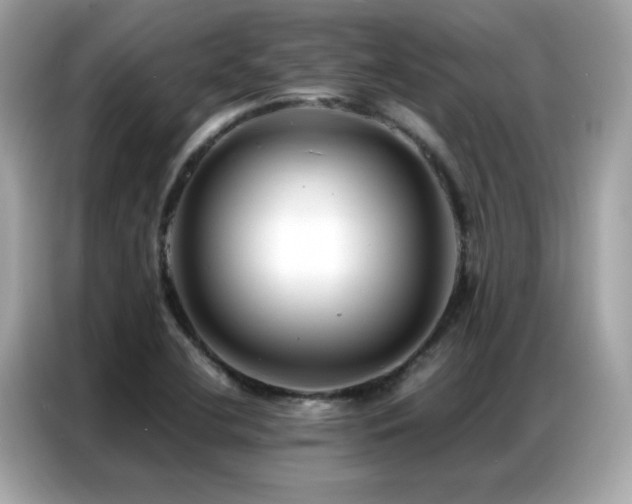 X0000087061412200704181248