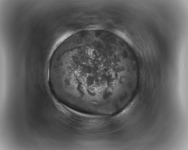 X0000087061413200704181248