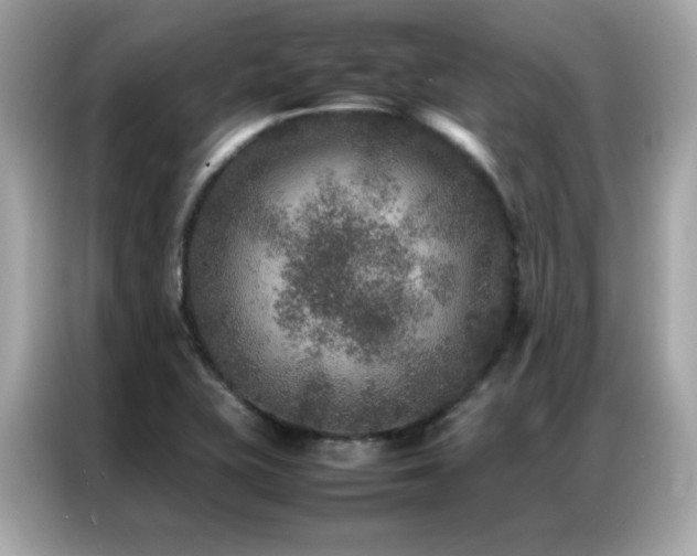 X0000087061415200704181248