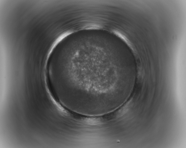 X0000087061418200704181249