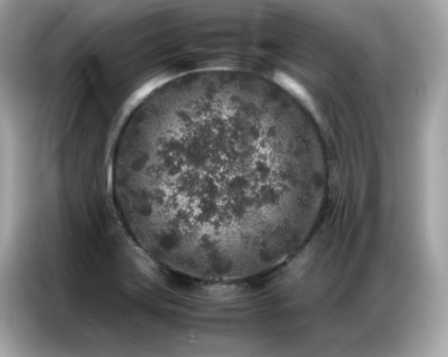 X0000087061419200704181249