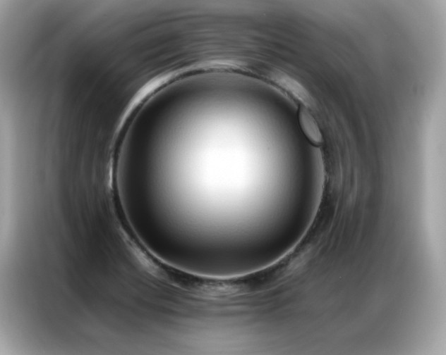 X0000087061420200704181249