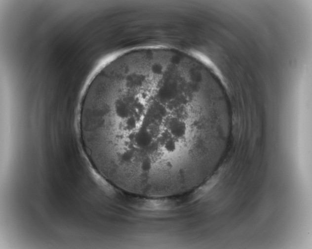 X0000087061421200704181249