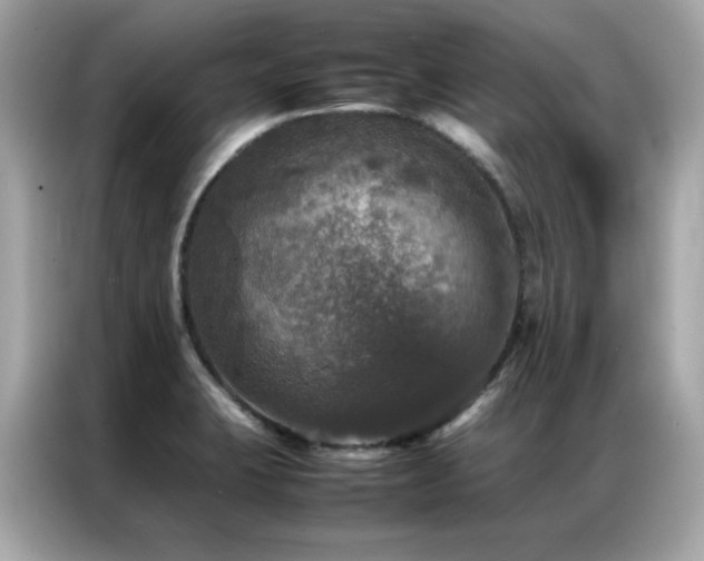 X0000087061423200704181249