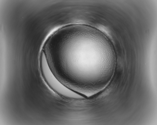 X0000087061424200704181249