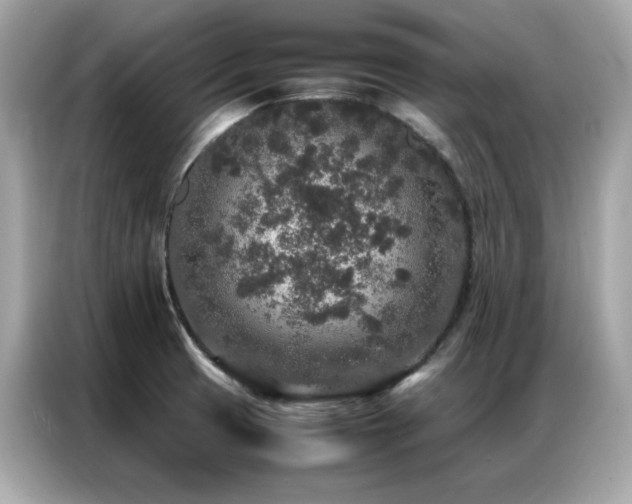 X0000087061425200704181249
