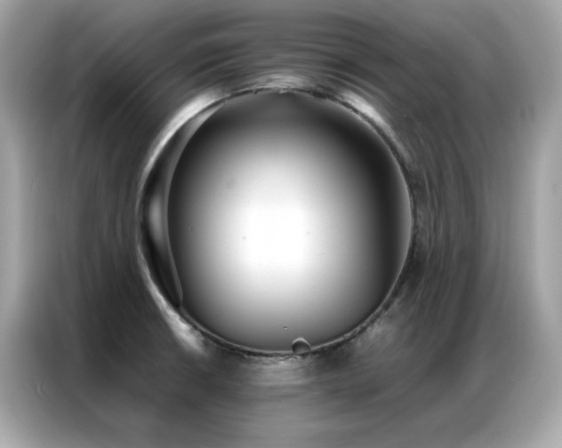 X0000087061426200704181249