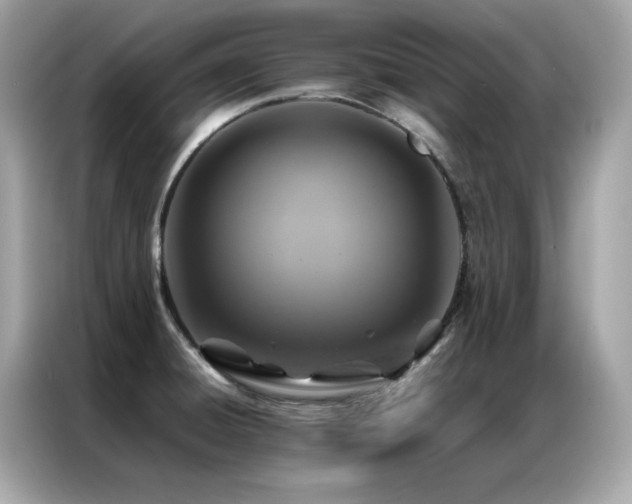 X0000087061428200704181249