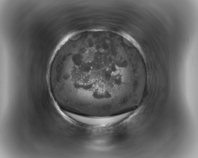 X0000087061429200704181249