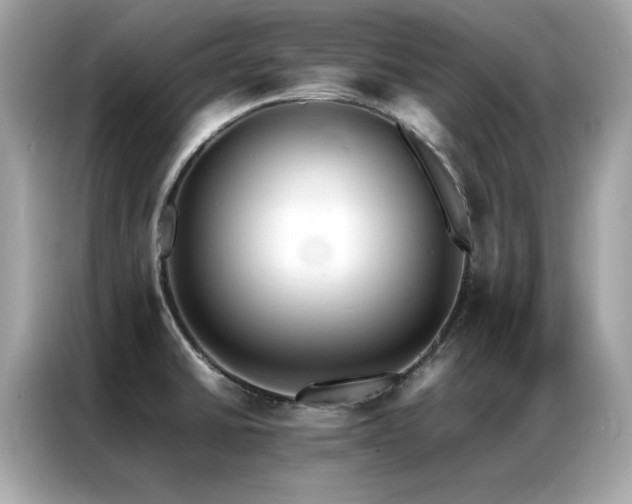 X0000087061430200704181249