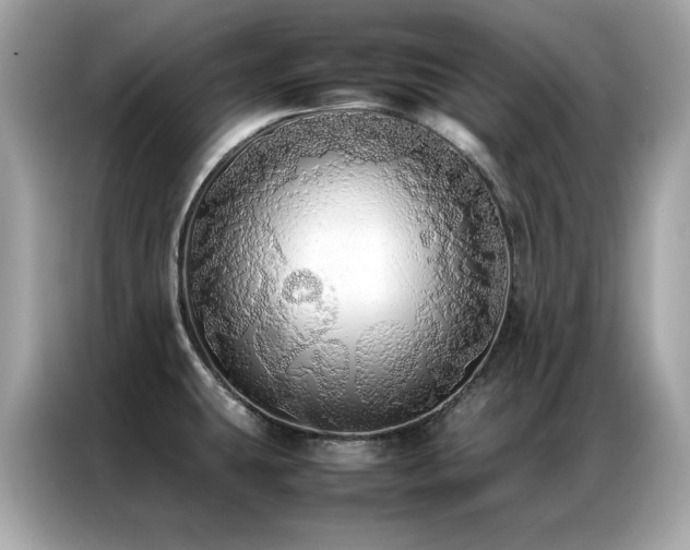 X0000087061431200704181249