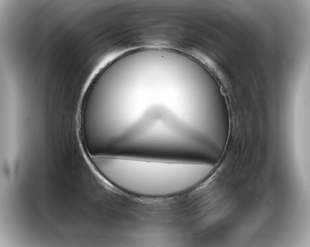 X0000087061432200704181249